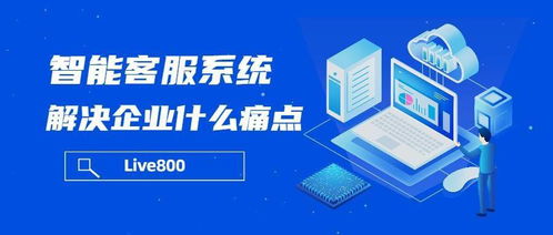 live800 智能客服系統(tǒng)解決企業(yè)什么痛點